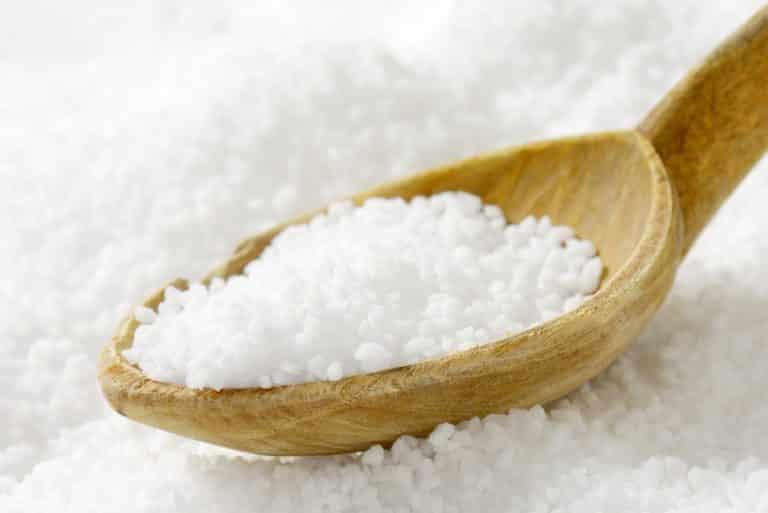 fleur de sel vs kosher salt