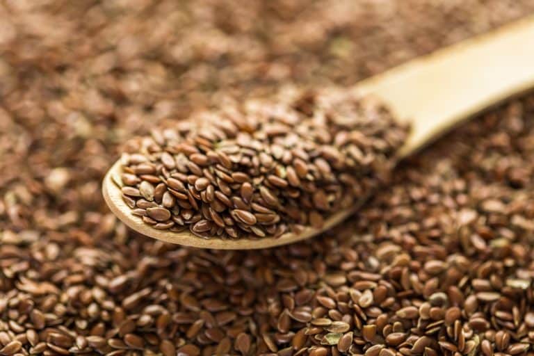 flax seeds vs hemp seeds