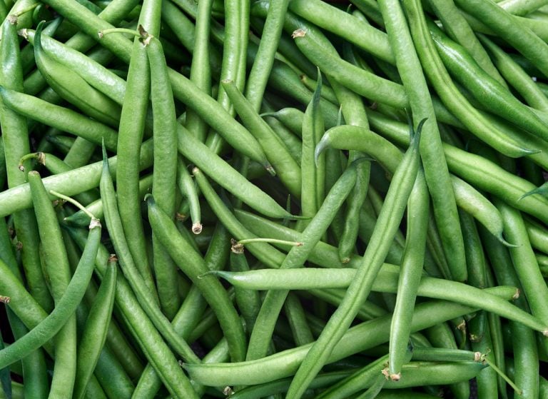 seasonings for green beans