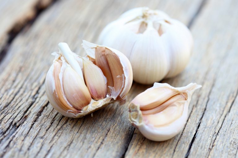 garlic vs ginger