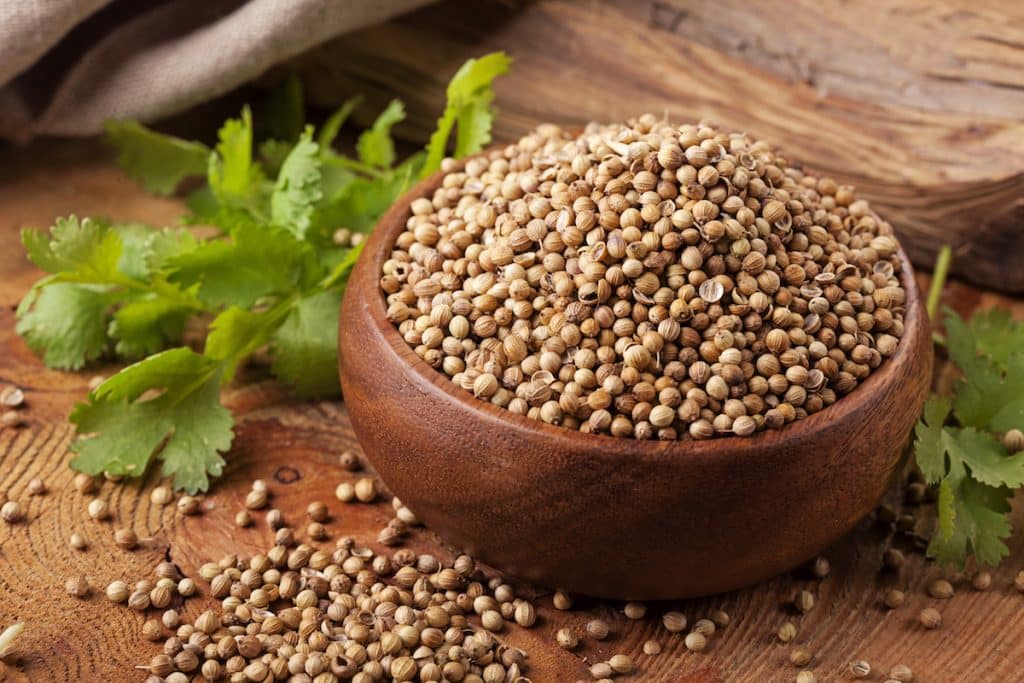 cooking with coriander