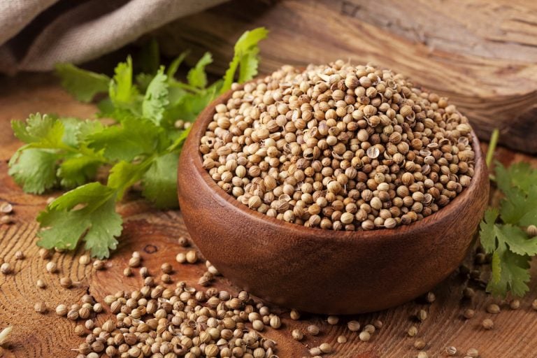 cooking with coriander