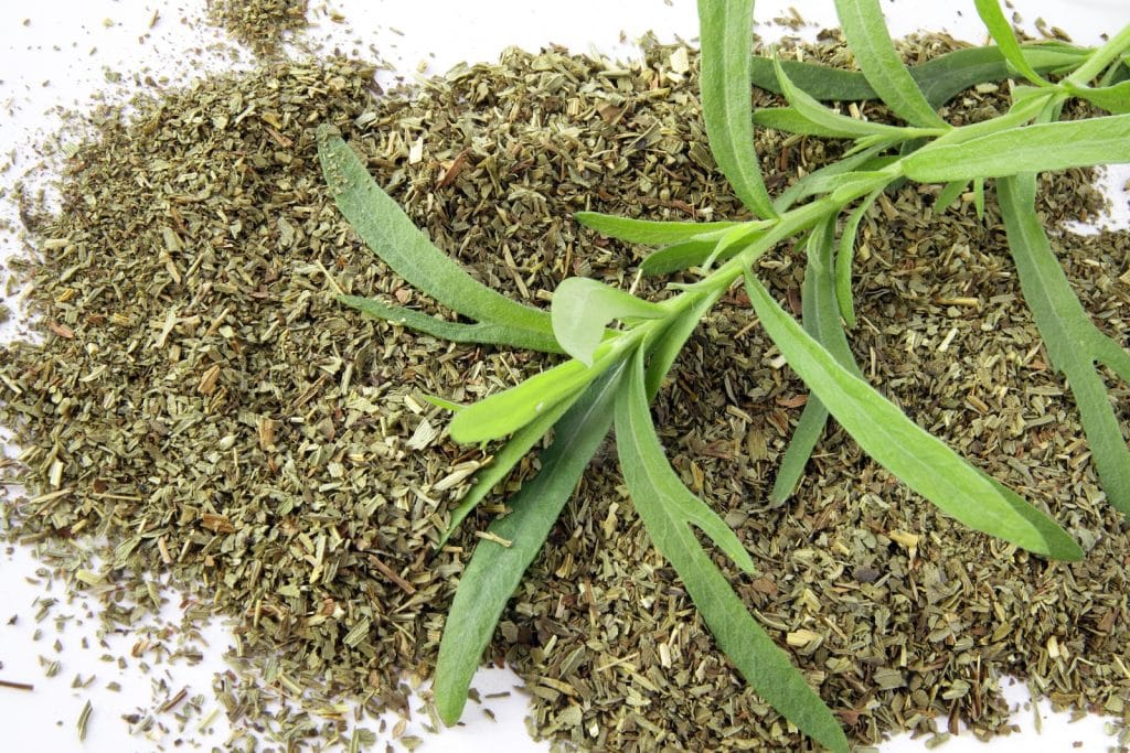 Tarragon An Herb Favorite of French Cuisine