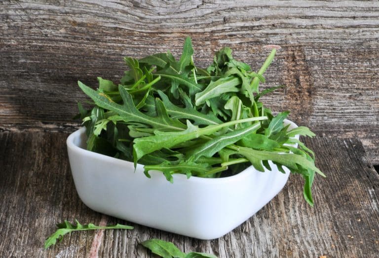 Arugula vs Spinach