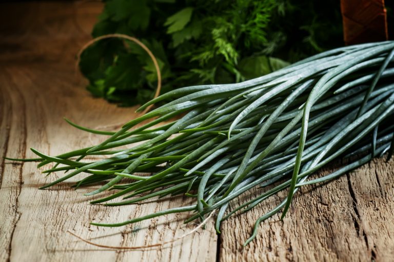 Garlic Chives vs Chives