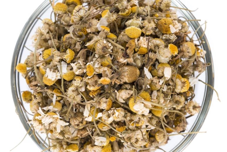 Cooking with chamomile