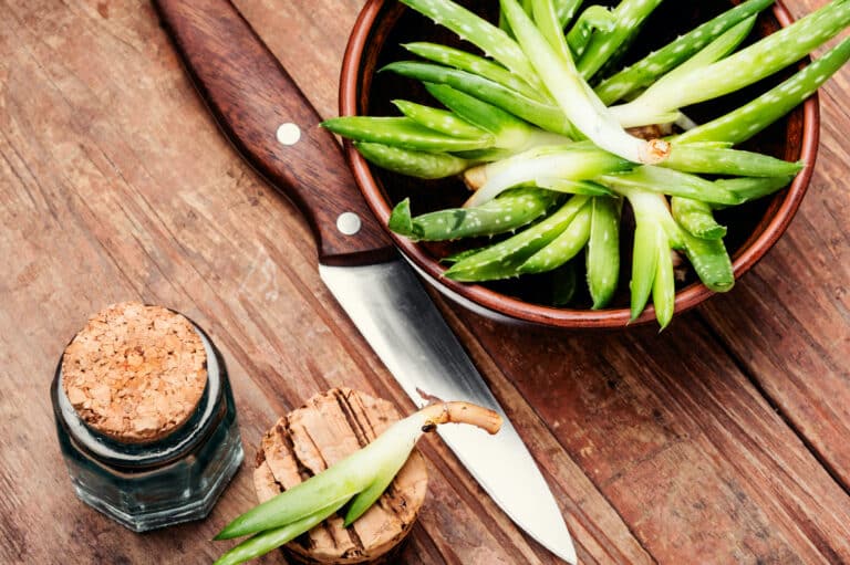 Cooking with Aloe Vera