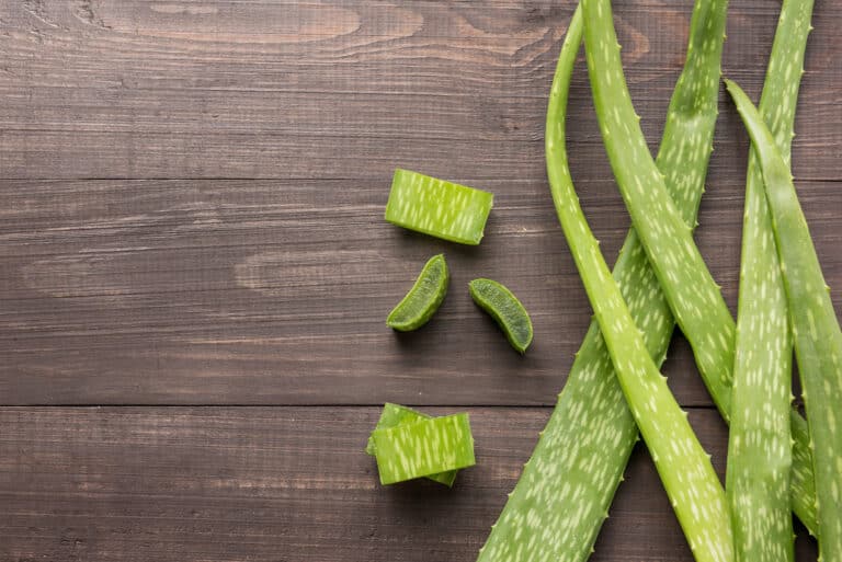 How to store aloe vera