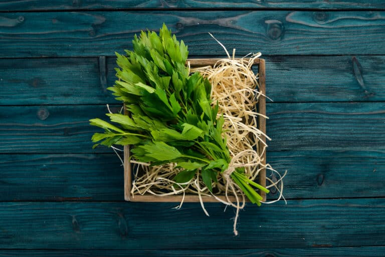 Celery Leaves Uses