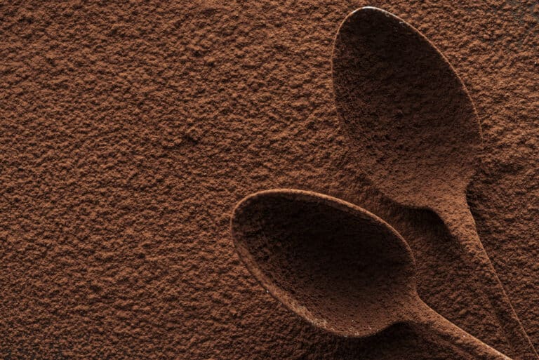 Dutch Processed Cocoa Powder