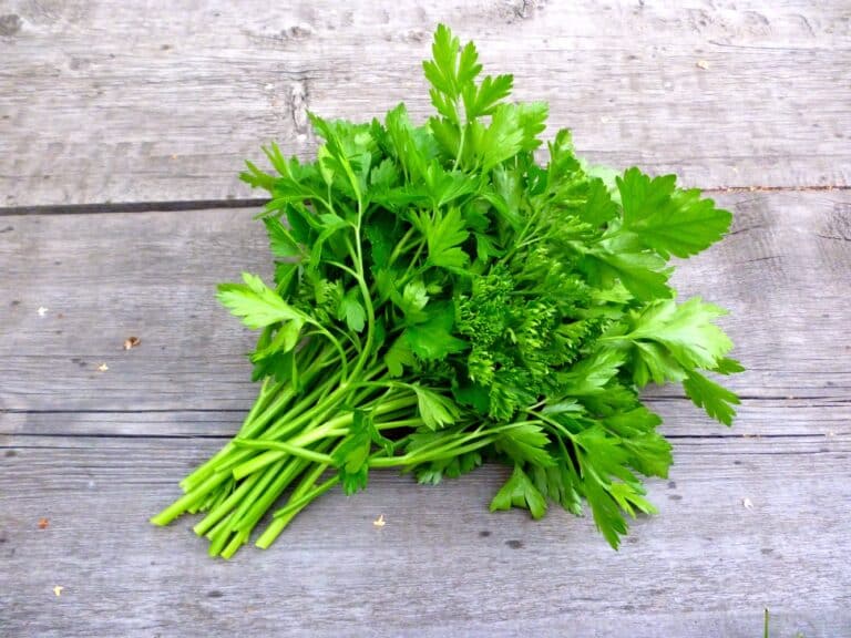 Can you freeze parsley?