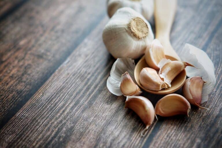 Garlic Substitute
