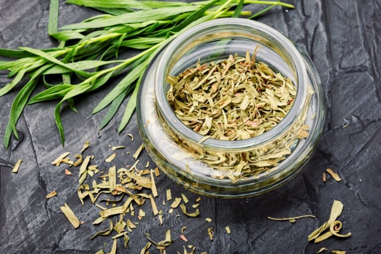 how to dry tarragon