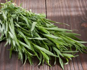 tarragon vs. dill