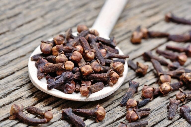 cloves vs. cinnamon