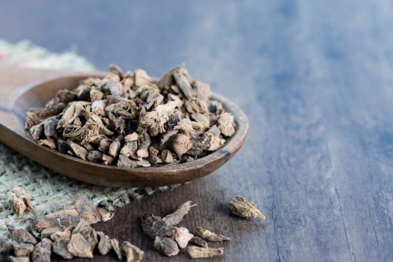 dried galangal vs. fresh
