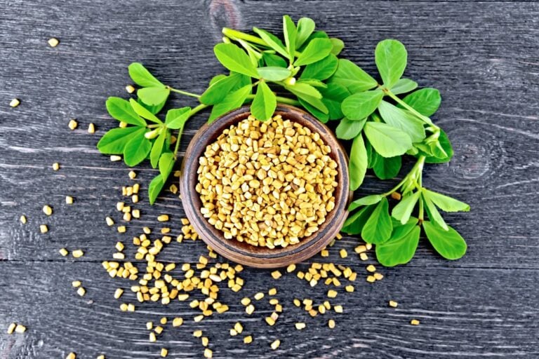 Fenugreek leaves vs. seeds
