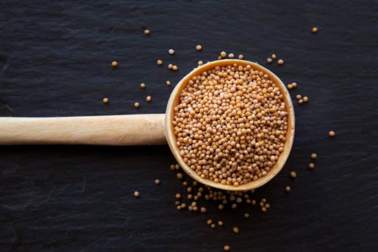 celery seed uses