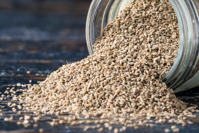 celery seed vs. celery powder
