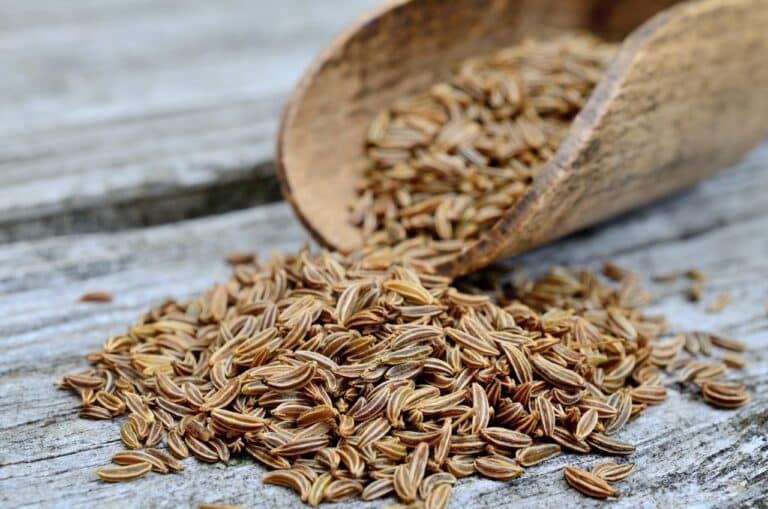 Caraway Seeds Vs. Fennel Seeds